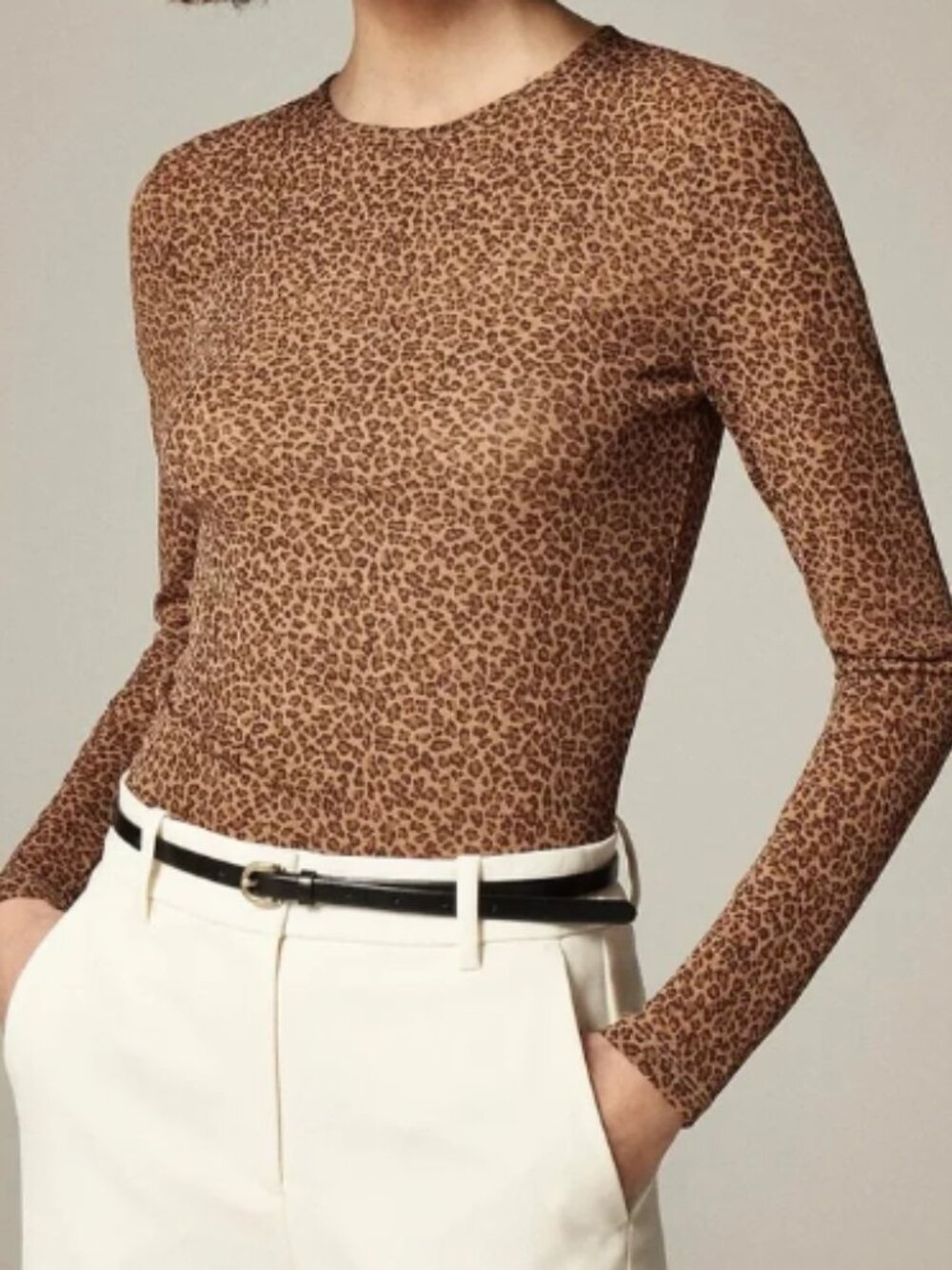 J Crew Sheer Long-Sleeve Top in Leopard Print - Womens XL
